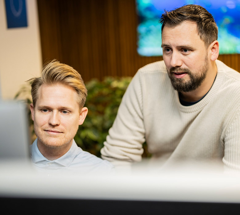 Sådan arbejder vi